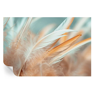 Un tissage harmonieux de plumes délicates